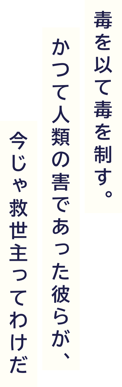 キャラクター画像